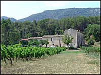 Mas Provence