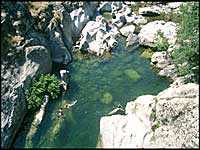 piscine-naturelle