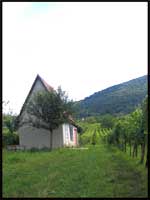 Maison-bukk