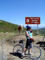velo-col