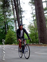velo-foret