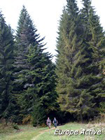 foret-slovquie