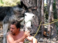 anes-corse