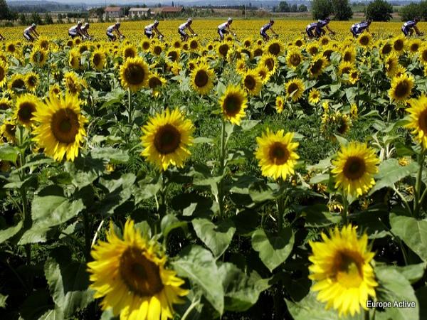 tour de provence