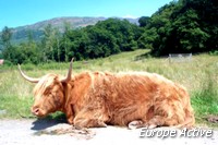 randos-ecosse