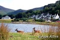 rando-ecosse