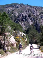 VTT-Corse