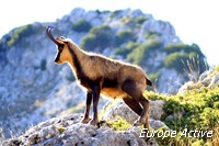 abruzzes-rando