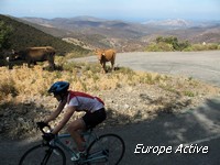 road bike corsica