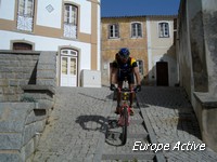 vtt