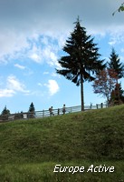 landscape romania piatra craiului