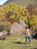 landscape romania piatra craiului