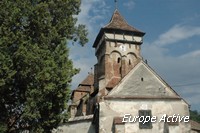 valea viilor romania
