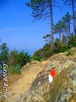 walking-cinque-terre
