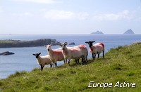 Motorcycling Ireland
