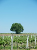 canal-garonne