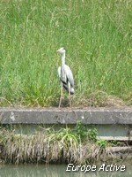 canal-garonne