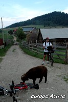 mountain bike romania transylvania