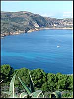 Cote