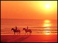 sejour a cheval