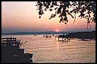 Balaton