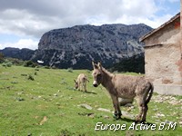 sardaigne velo