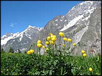 randonee mont-blanc