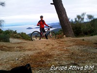 vtt elbe