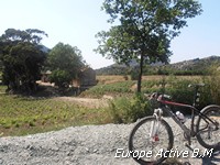 vtt