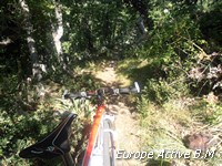 vtt