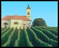 slovenie vignoble vin
