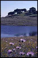 randonnee-portugal-alentejo