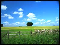 Randonnee Angleterre