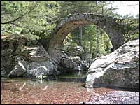 Pont genois