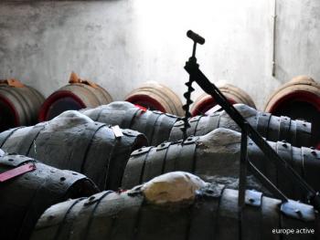 vin huile lucca