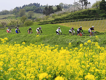 vélo italie romagnie