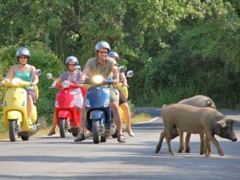 Vespa Toscane