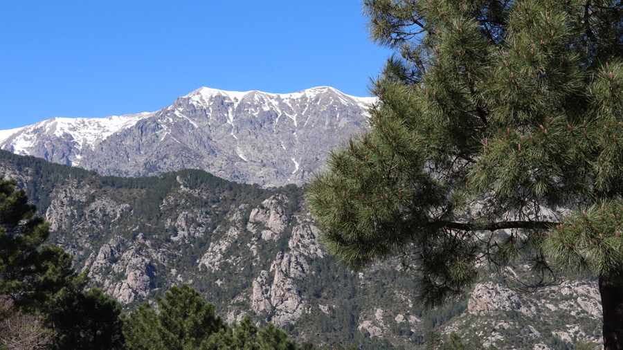 View of corsican mountain