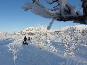 Norvège Lyngen Motoneige