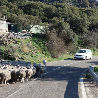 Autotours en Sardaigne